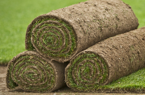 Teal Turf - News image