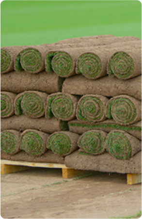 Teal Turf - Turf Block image