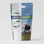 Wildflower seeds