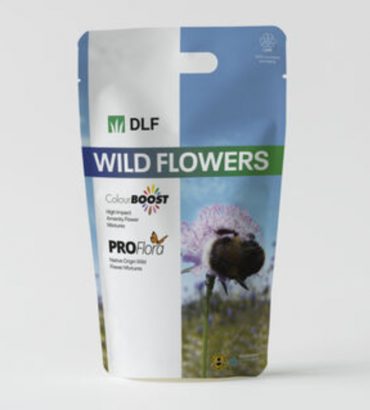 Wildflower seeds