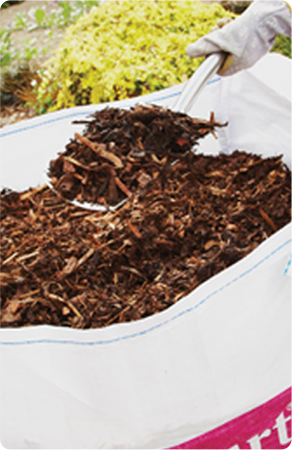 Teal Turf - Bark image