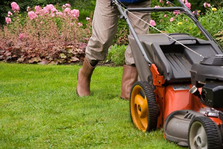 Teal Turf - Garden care mowing