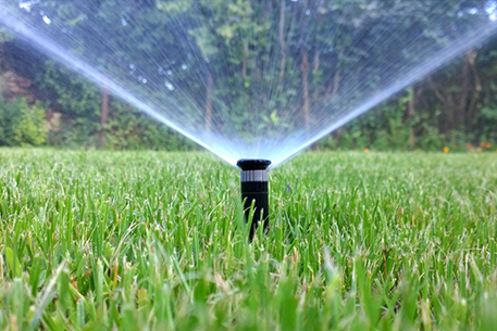 Teal Turf - Garden care watering