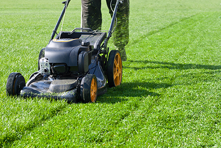 Teal Turf - Garden care mowing