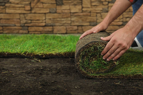 Teal Turf - Turf laying